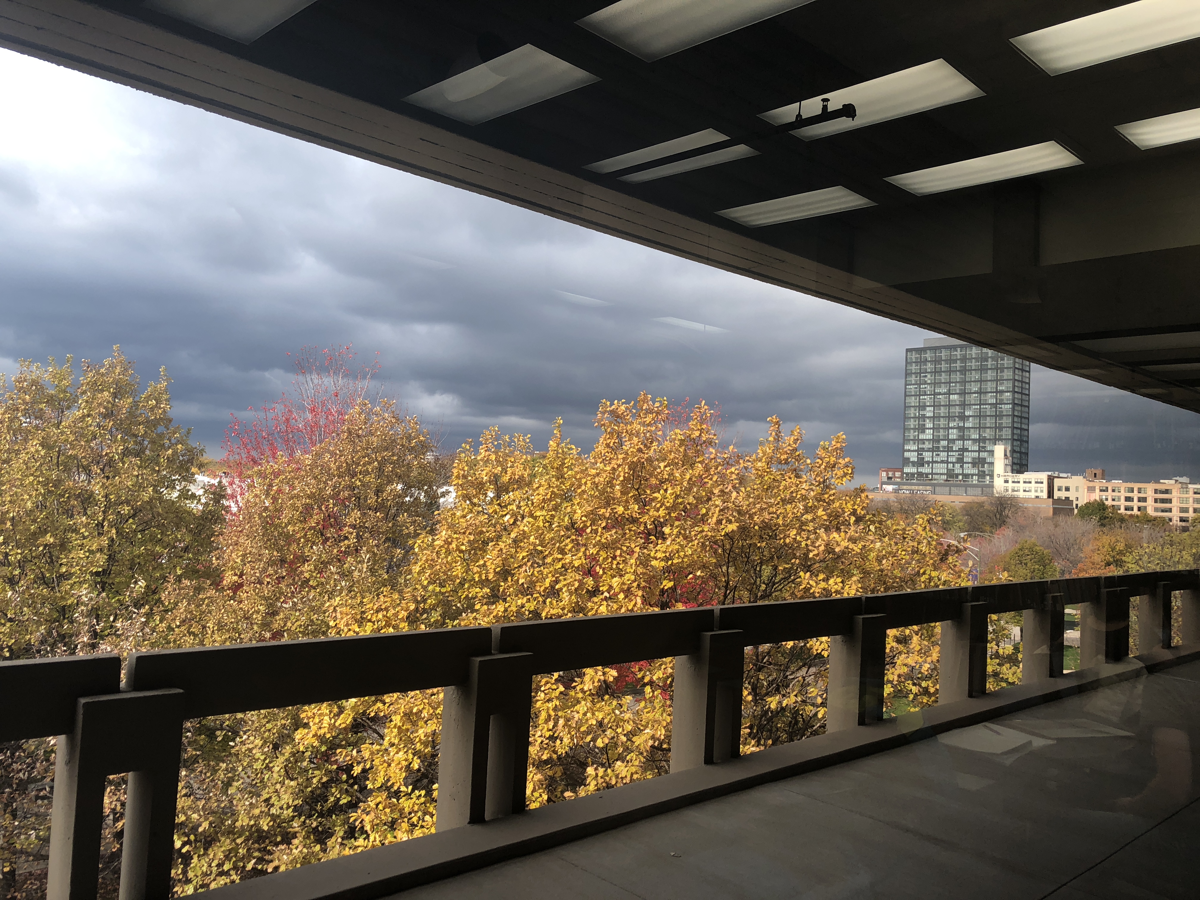 UIC fall 2017